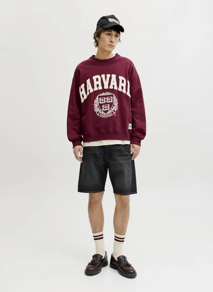 JACK & JONES Black Denim Casual Denim Shorts for Men | Best Price UAE